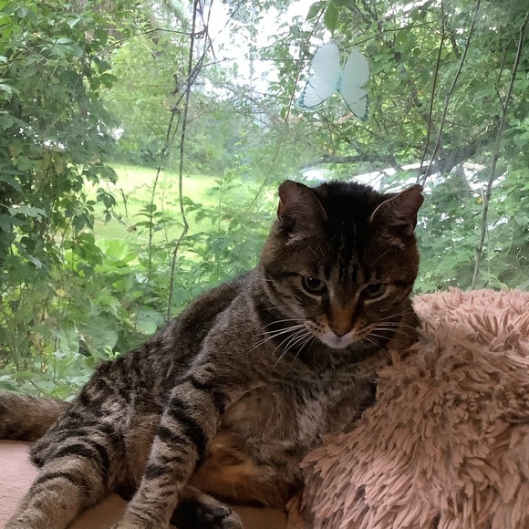 Etereo Olivine Green pierced earrings - Picture 2 of 5